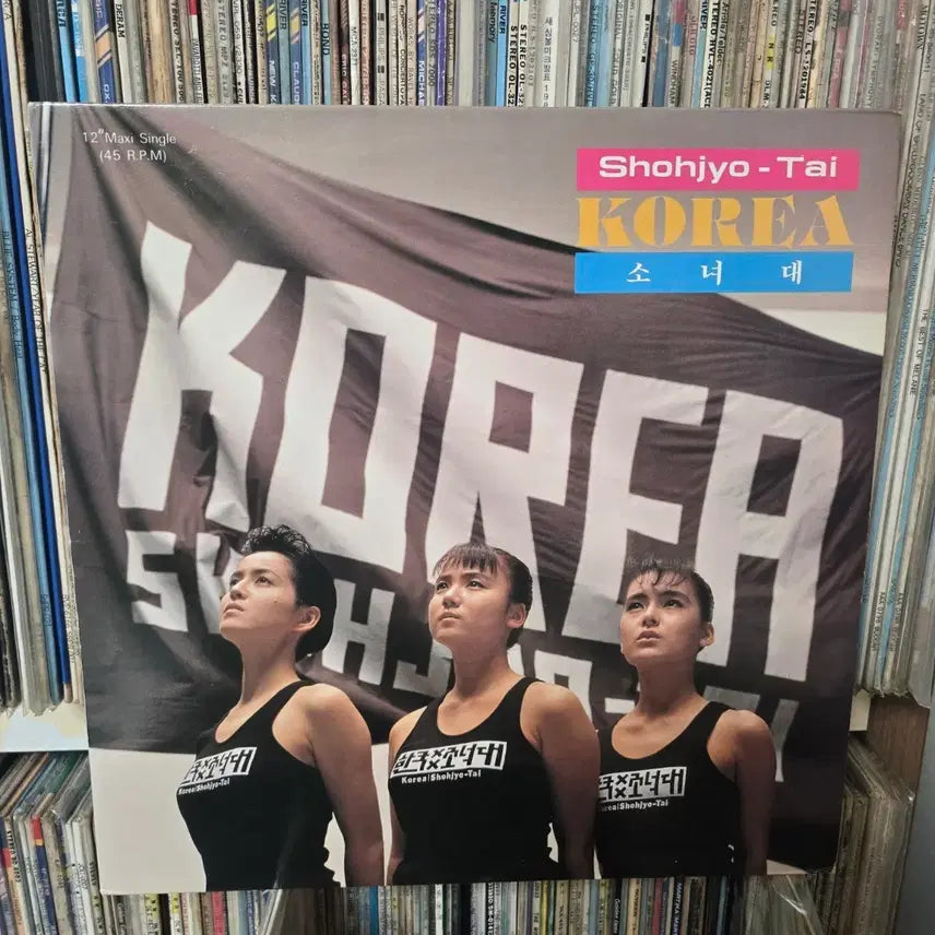 [BUNJANG] Korea Girl Group LP Record / 소녀대 Korea LP판