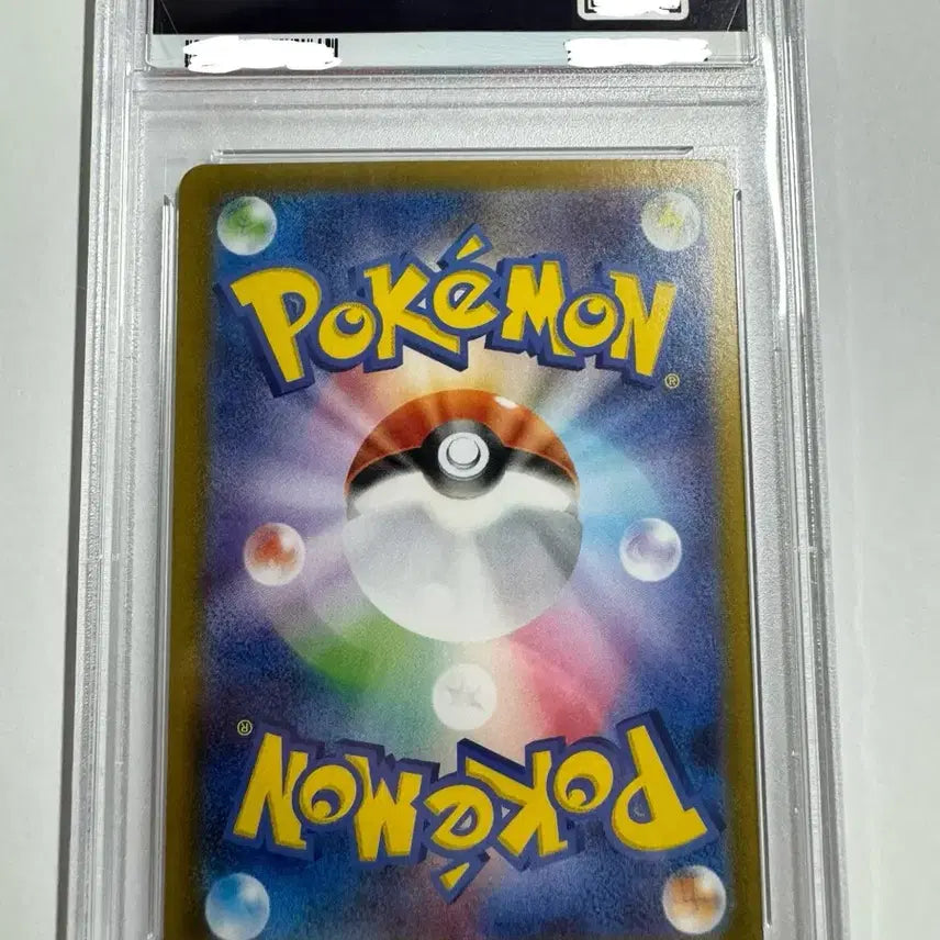 [BUNJANG] Pokemon Japanese Touko PSA 10 Card / 포켓몬 카드 일판 투희 PSA10