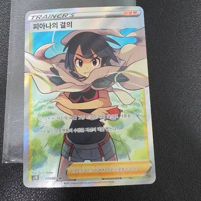 [BUNJANG] Pokemon Fiana&