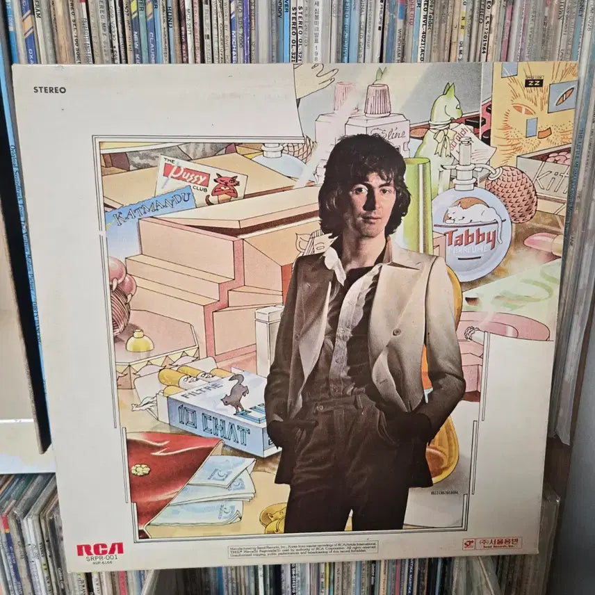 [BUNJANG] Al Stewart Year of the Cat LP Vinyl Record / 알 스튜어트 Year of the Cat LP판 민트급