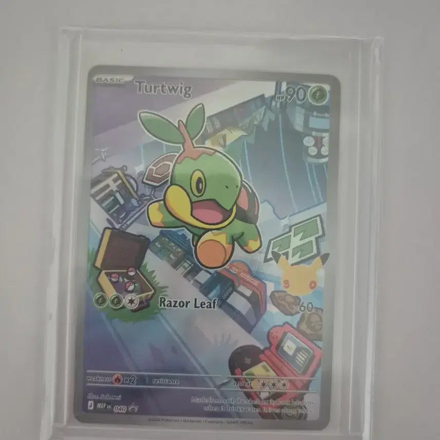 [BUNJANG] Pokemon 30th Anniversary North American Edition Card Set / 포켓몬 카드 30주년 북미판 모부기/불꽃숭이/팽도리