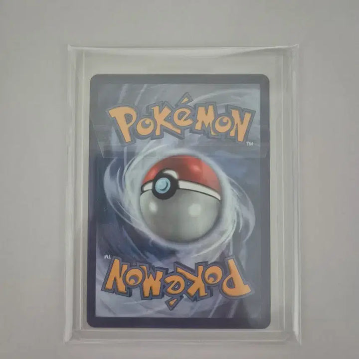 [BUNJANG] Pokemon 30th Anniversary North American Edition Card Set / 포켓몬 카드 30주년 북미판 모부기/불꽃숭이/팽도리