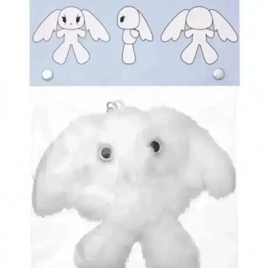 [SOLD OUT] 코이세이오 프루시키링