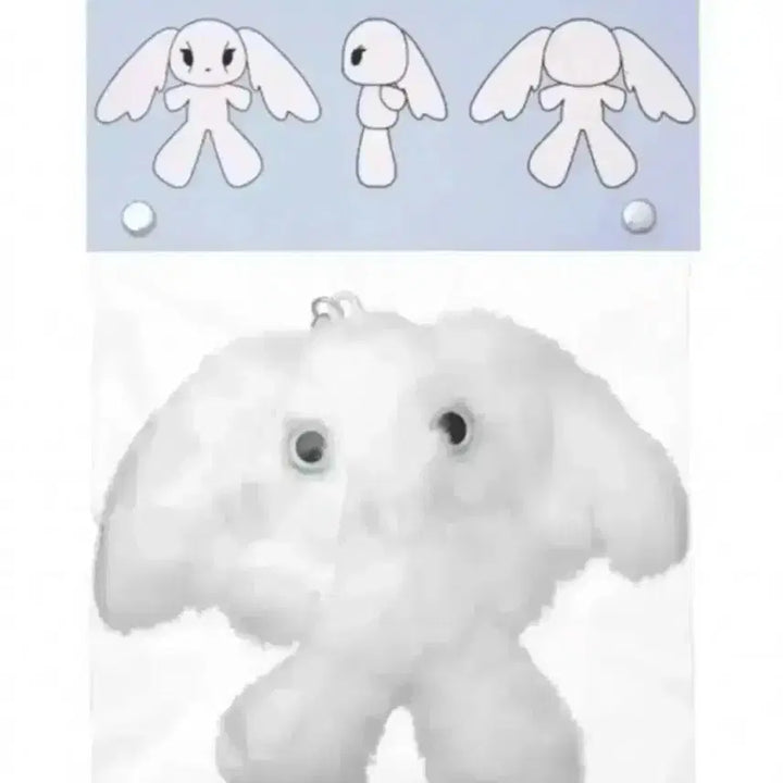 [SOLD OUT] 코이세이오 프루시키링