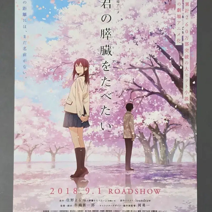 [BUNJANG] To Your Eternity Japanese A Movie Pamphlet / [영화팜플렛] 너의췌장을먹고싶어 일본A (2018) 영화전단지