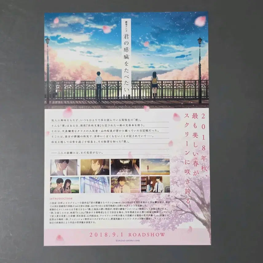 [BUNJANG] To Your Eternity Japanese A Movie Pamphlet / [영화팜플렛] 너의췌장을먹고싶어 일본A (2018) 영화전단지