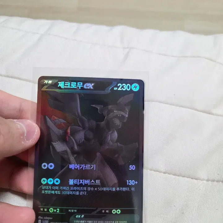[SOLD OUT] 포켓몬카드