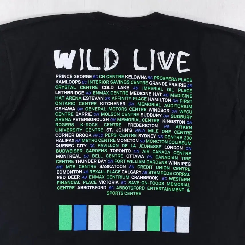 [BUNJANG] Hedley Wild Live Tour T-Shirt XL / 헤들리 WILD LIVE 투어 반팔 티셔츠 XL