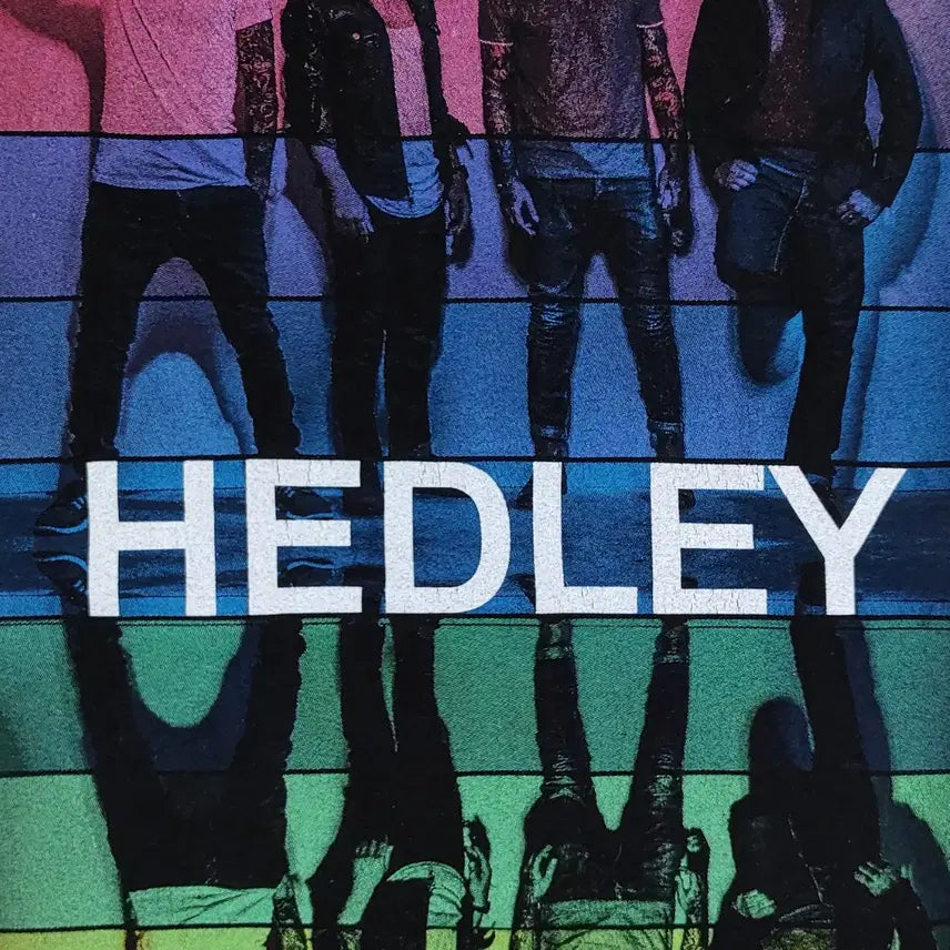 [BUNJANG] Hedley Wild Live Tour T-Shirt XL / 헤들리 WILD LIVE 투어 반팔 티셔츠 XL