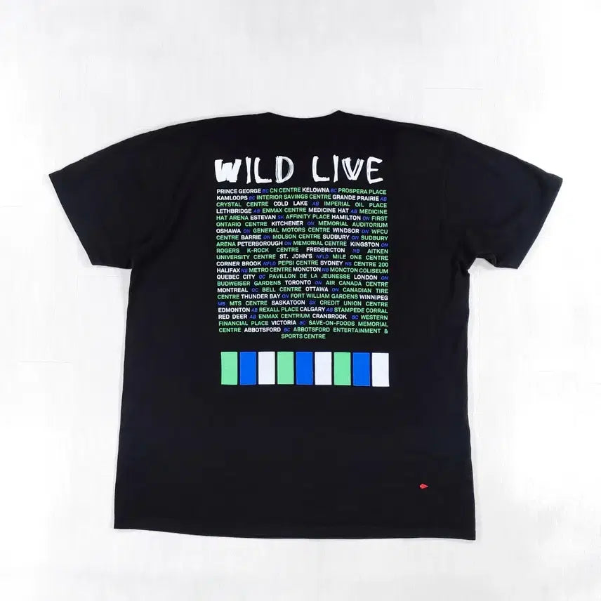 [BUNJANG] Hedley Wild Live Tour T-Shirt XL / 헤들리 WILD LIVE 투어 반팔 티셔츠 XL