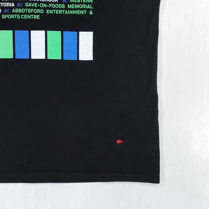 [BUNJANG] Hedley Wild Live Tour T-Shirt XL / 헤들리 WILD LIVE 투어 반팔 티셔츠 XL