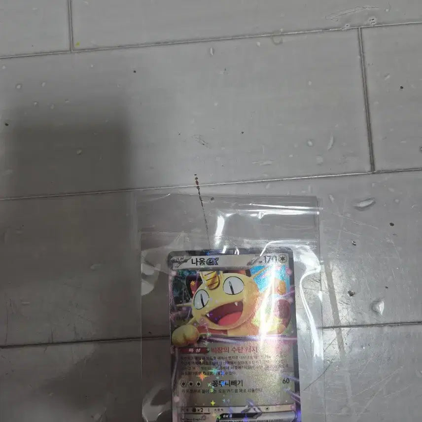 [BUNJANG] Nyaong ex RR Card / 냐옹 ex rr
