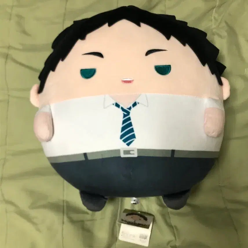 [BUNJANG] Akaashi Keiji Big Plush / 아카아시 케이지 빅 후와