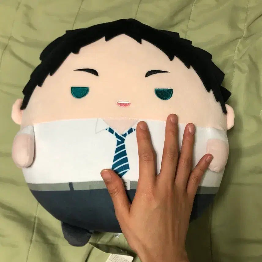 [BUNJANG] Akaashi Keiji Big Plush / 아카아시 케이지 빅 후와