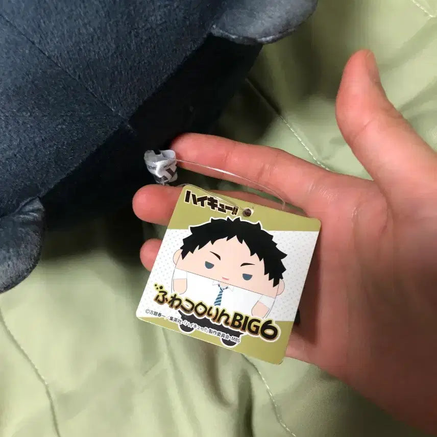 [BUNJANG] Akaashi Keiji Big Plush / 아카아시 케이지 빅 후와