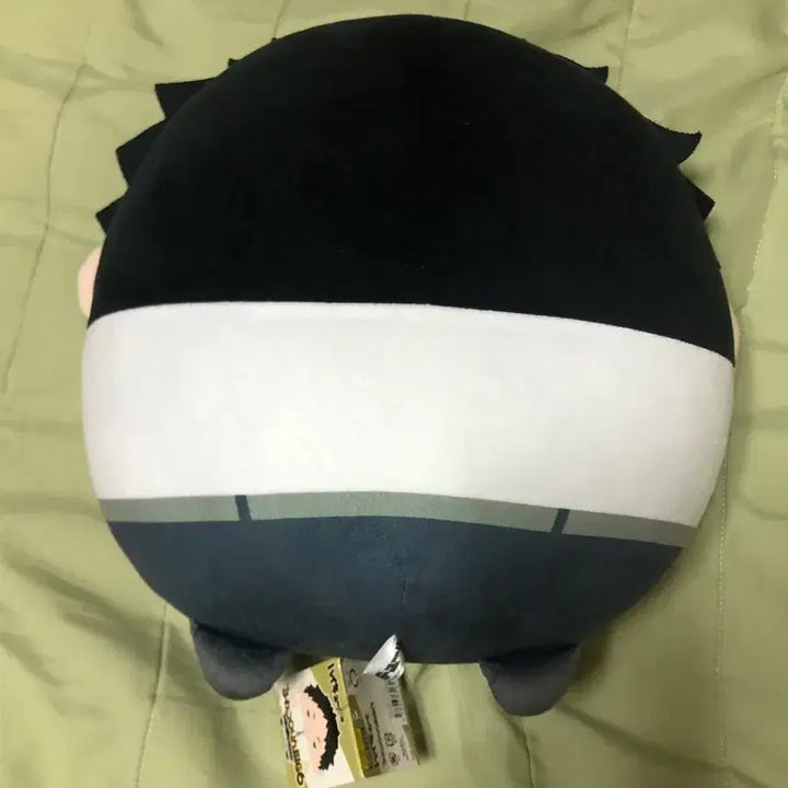 [BUNJANG] Akaashi Keiji Big Plush / 아카아시 케이지 빅 후와