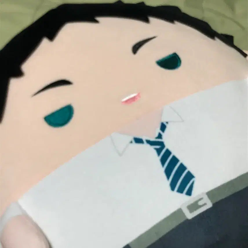 [BUNJANG] Akaashi Keiji Big Plush / 아카아시 케이지 빅 후와