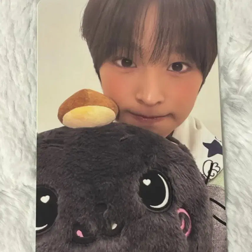 [BUNJANG] NCT WISH Riku Bakery Pop-Up Photocard / 엔시티위시 베이커리 팝업 트레카 리쿠 포카