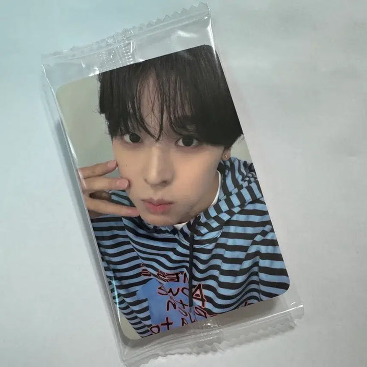 [BUNJANG] NCT WISH Riku Color Ktown4u POB Photocard / 리쿠 엔시티 위시 컬러 케타포 케이타운포유 미공포 포카 포토카드