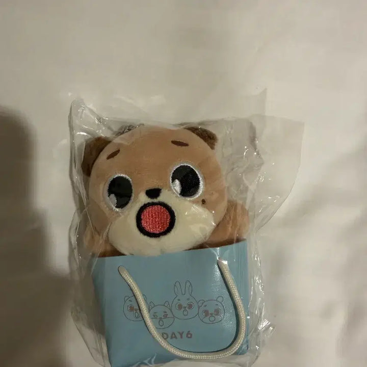 [BUNJANG] Day6 Japan Don Doll / 데이식스 일본 돈 인형