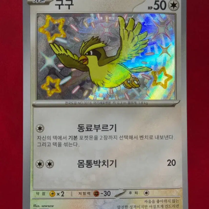 [BUNJANG] Pokemon Error Card - Pidgey Holo Misprint (Shiny S-Class Ghost Layer) / 포켓몬 에러 카드(피죤 홀로 인쇄) 구구 이로치 S 고스트 레이어