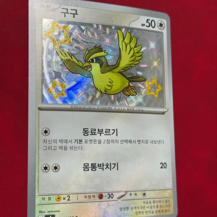 [BUNJANG] Pokemon Error Card - Pidgey Holo Misprint (Shiny S-Class Ghost Layer) / 포켓몬 에러 카드(피죤 홀로 인쇄) 구구 이로치 S 고스트 레이어