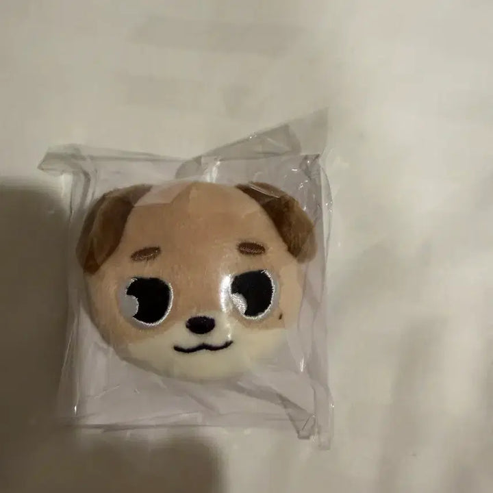 [BUNJANG] Day6 Japanese Don Pin / 데이식스 일본 돈 삔