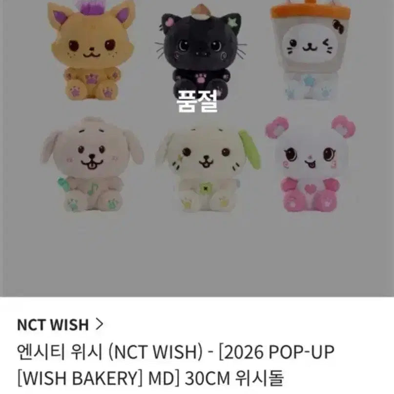 [SOLD OUT] 엔시티위시 30cm위시돌 쿠리 팡이 일괄 원가 nctwish