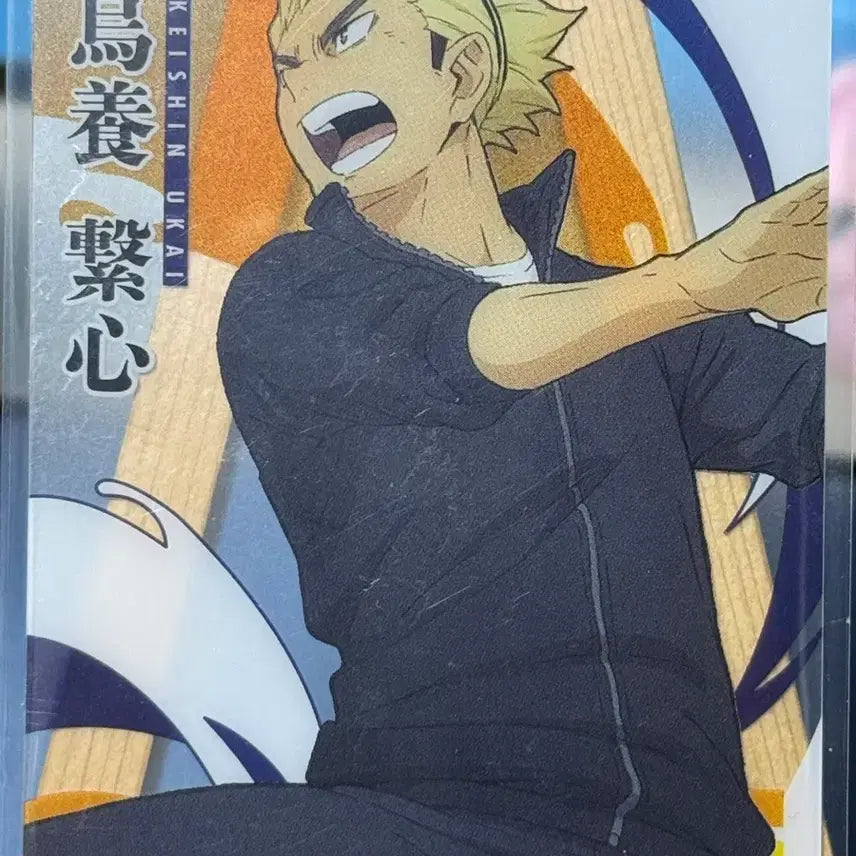 [BUNJANG] Haikyuu Various Cards Bundle Set / 하이큐 카드 7장랏