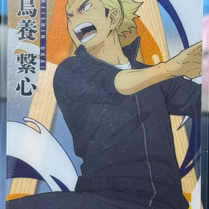 [BUNJANG] Haikyuu Various Cards Bundle Set / 하이큐 카드 7장랏