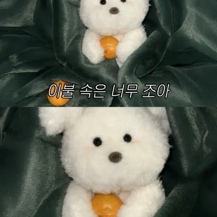 [SOLD OUT] 체로프 몽모 강아지 인형