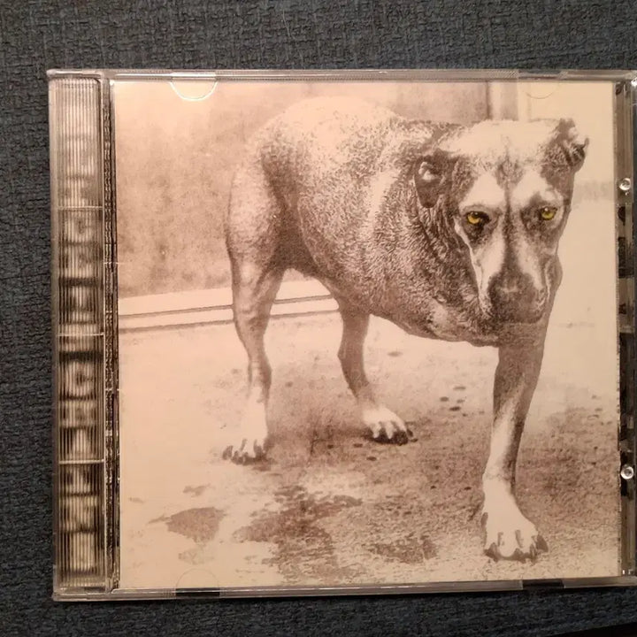 [BUNJANG] Alice In Chains CD / 앨리스 인 체인스 Alice In Chains CD