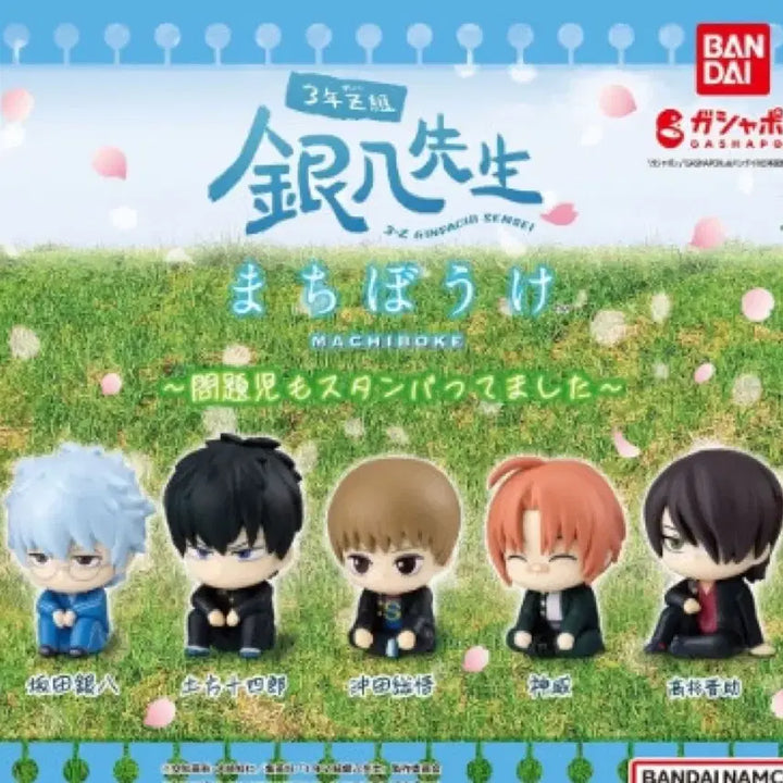 [BUNJANG] Gintama 3Z Machiboke Takasugi Shinsuke Unsealed / 은혼 삼젯 마치보케 타가스키 신스케 미개봉