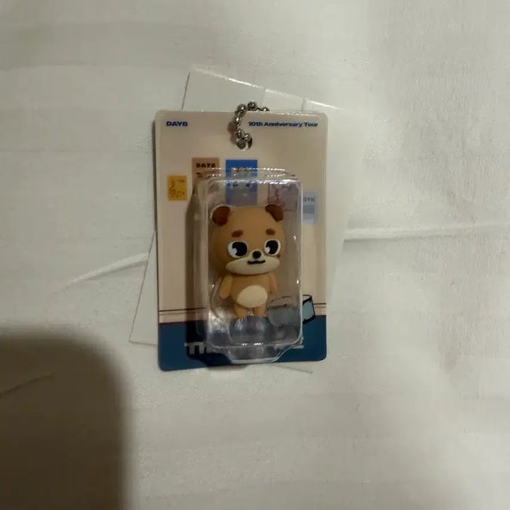 [BUNJANG] Day6 Japan Don Keyring / 데이식스 일본 돈 키링