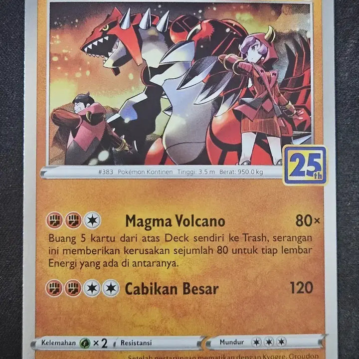 [BUNJANG] Pokemon 25th Anniversary Groudon &amp; Kyogre Card / 북미판 25주년 그란돈 가이오가 포켓몬카드