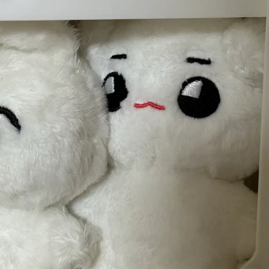 [SOLD OUT] 툥야 베베툥야 일괄 양도 nct127 태용 이태용 인형