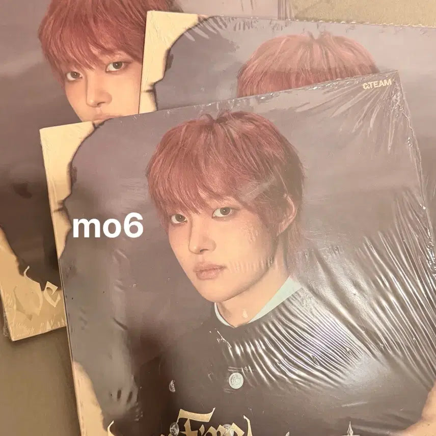 [BUNJANG] &amp;TEAM Wi-on-pa Uiju Individual Photocard / 앤팀 위온파  의주 개인반 미개봉