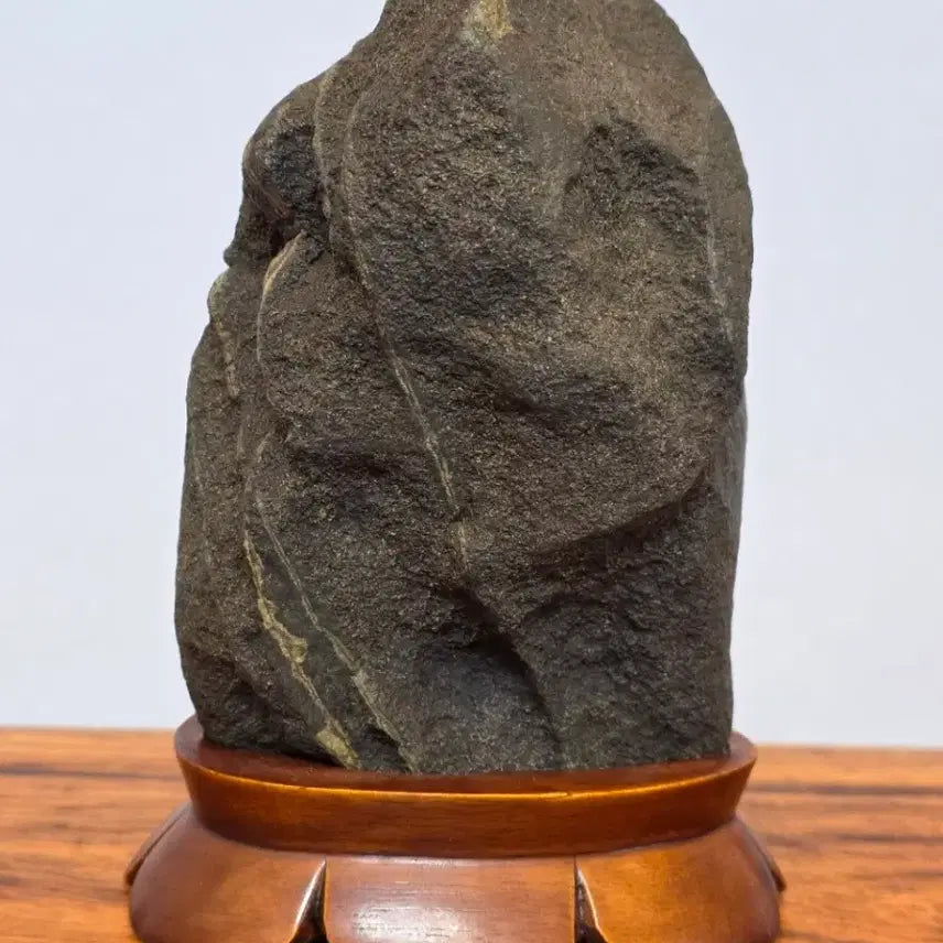 [BUNJANG] Goesan Skin Stone / 26042603 속돌 변화가 좋은 괴산 피부석 수석 팝니다