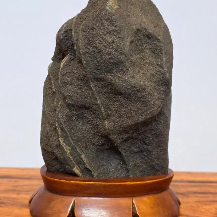 [BUNJANG] Goesan Skin Stone / 26042603 속돌 변화가 좋은 괴산 피부석 수석 팝니다