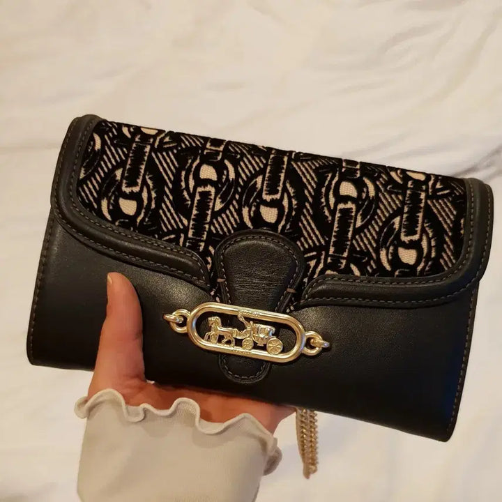 [BUNJANG] Coach Wallet Bag / 코치 월렛백