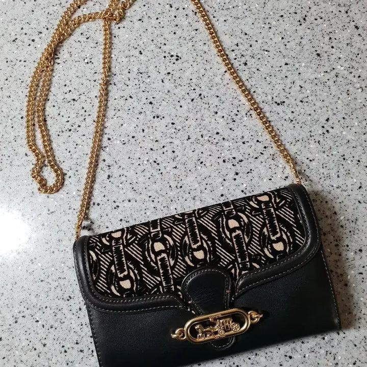 [BUNJANG] Coach Wallet Bag / 코치 월렛백