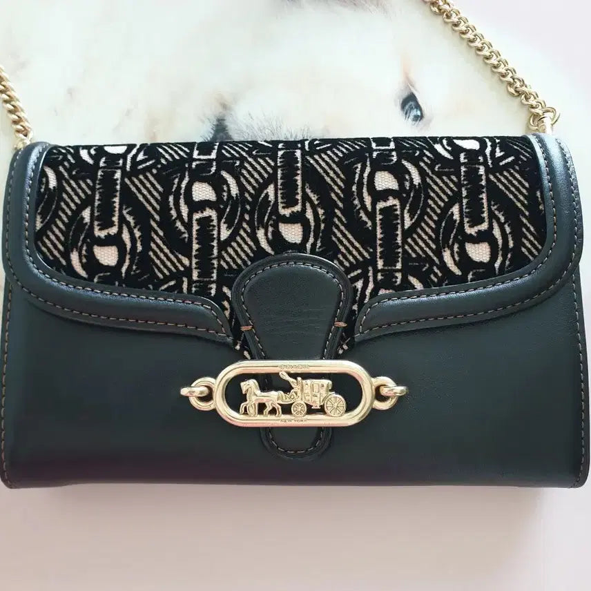 [BUNJANG] Coach Wallet Bag / 코치 월렛백