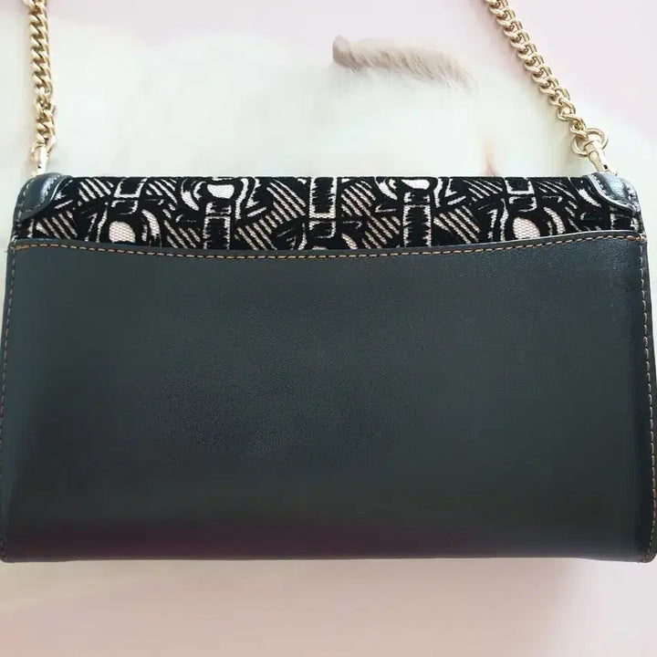 [BUNJANG] Coach Wallet Bag / 코치 월렛백