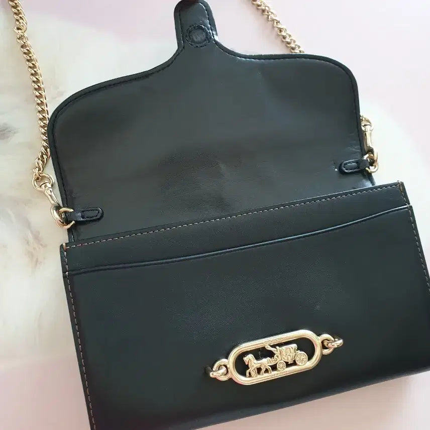 [BUNJANG] Coach Wallet Bag / 코치 월렛백
