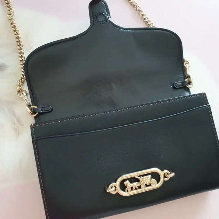 [BUNJANG] Coach Wallet Bag / 코치 월렛백