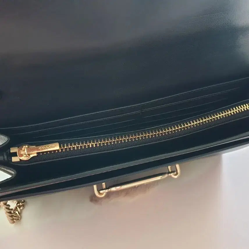[BUNJANG] Coach Wallet Bag / 코치 월렛백