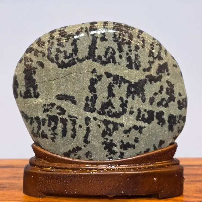 [BUNJANG] Chinese Grape Stone with Unique Pattern / 26042614 문양이 독특한 중국 포도석 문양석 수석 팝니다