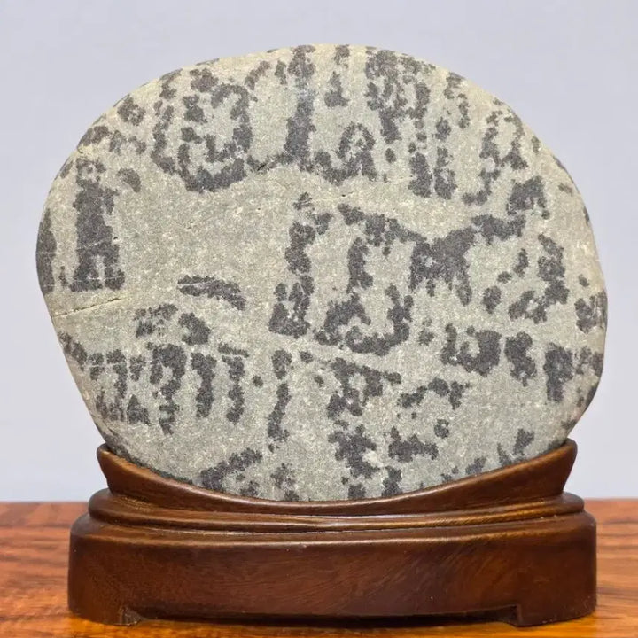 [BUNJANG] Chinese Grape Stone with Unique Pattern / 26042614 문양이 독특한 중국 포도석 문양석 수석 팝니다