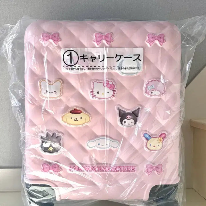 [BUNJANG] Sanrio Characters Atari Kuji 1st Prize Carrier / 산리오 캐릭터즈 아타리쿠지 1등상 캐리어 팝니당