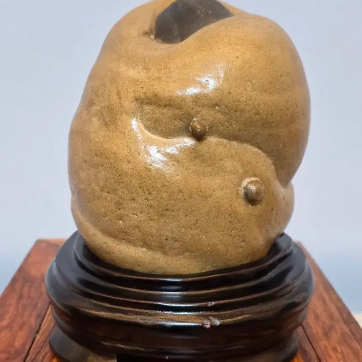 [BUNJANG] Chinese Stone Sculpture / 26042624 변화가 좋은 중국 까퉁석 수석 팝니다